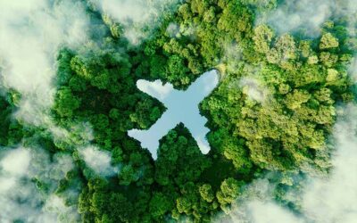 NFTs & Sustainable Travel: How Blockchain is Supporting Eco-Friendly Tourism Practices
