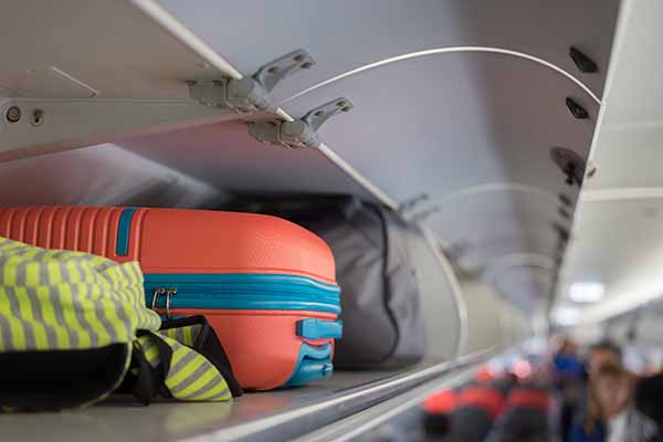 Luggage Survival Guide: carry-on luggage