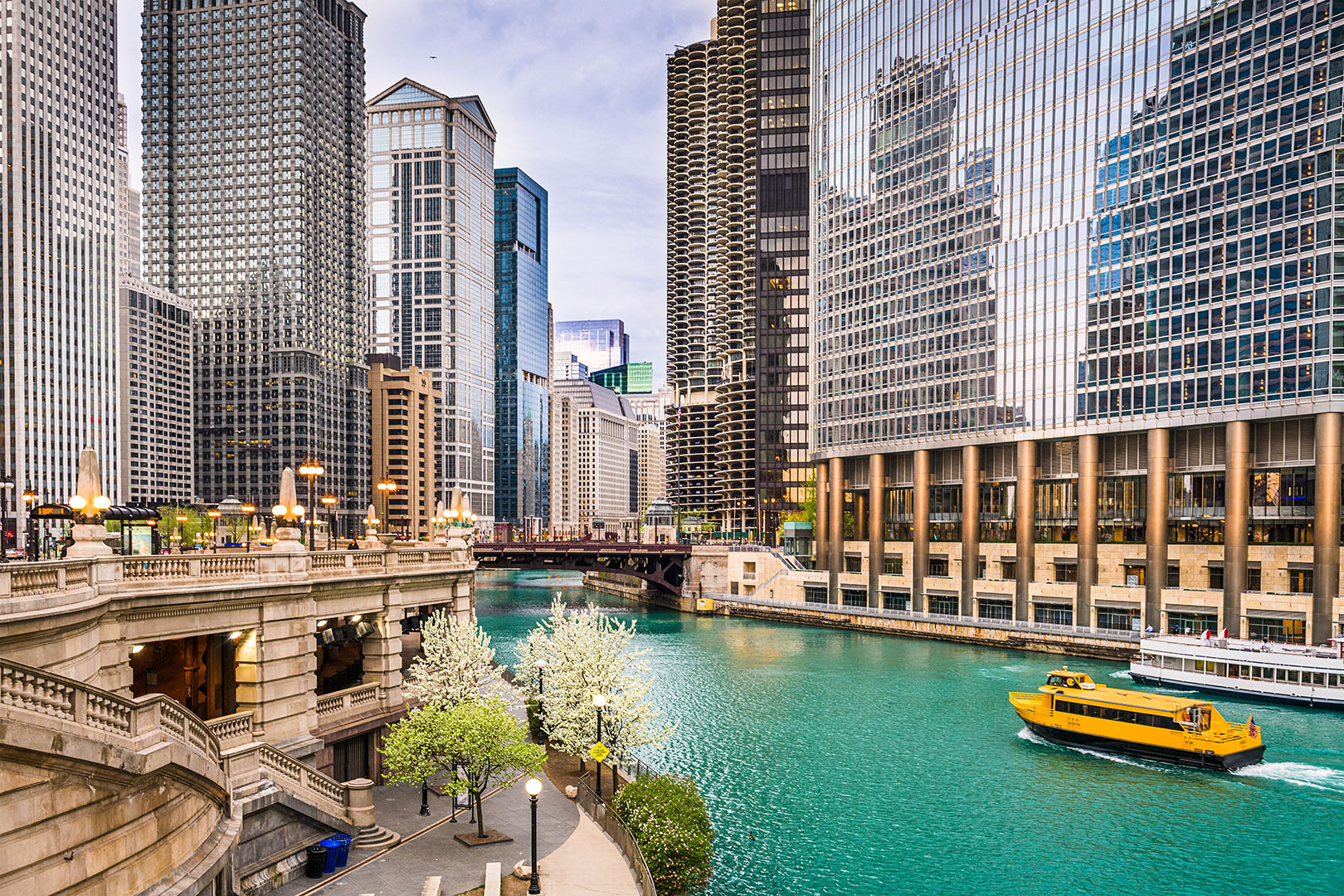 chicago river tour