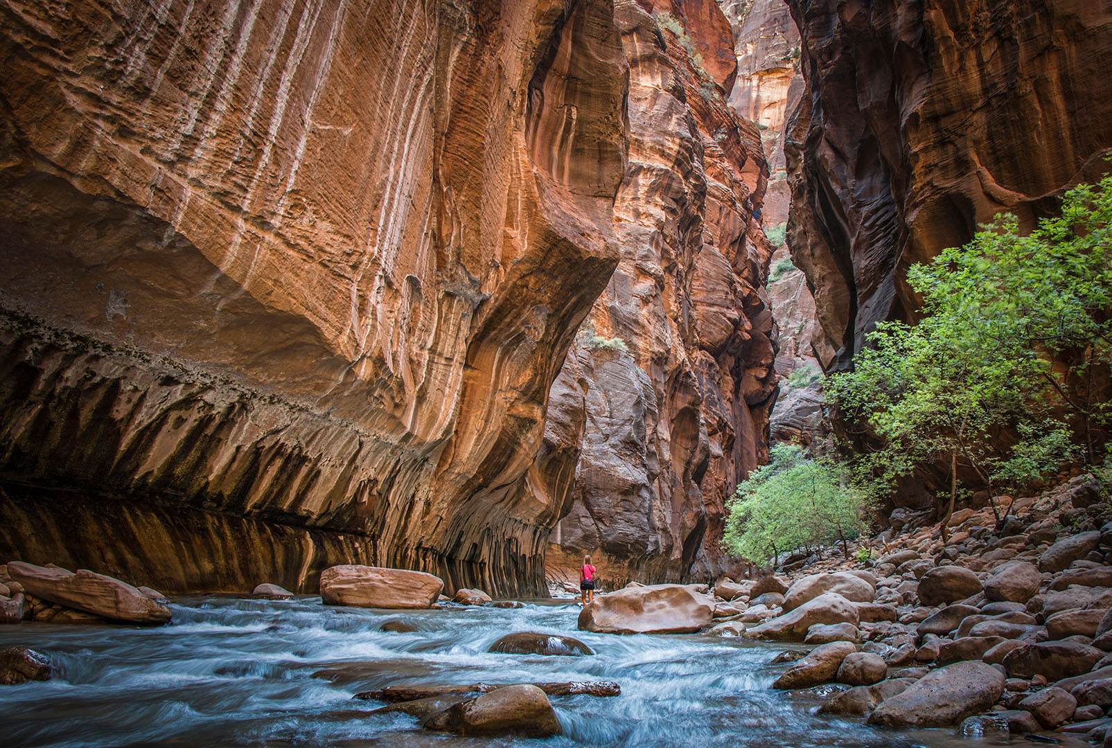 mountain west, utah