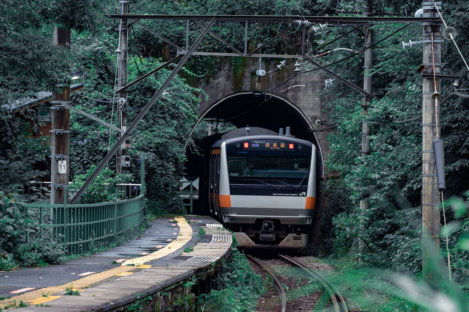 train japan, perserving paradise