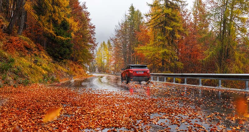 thanksgiving travel