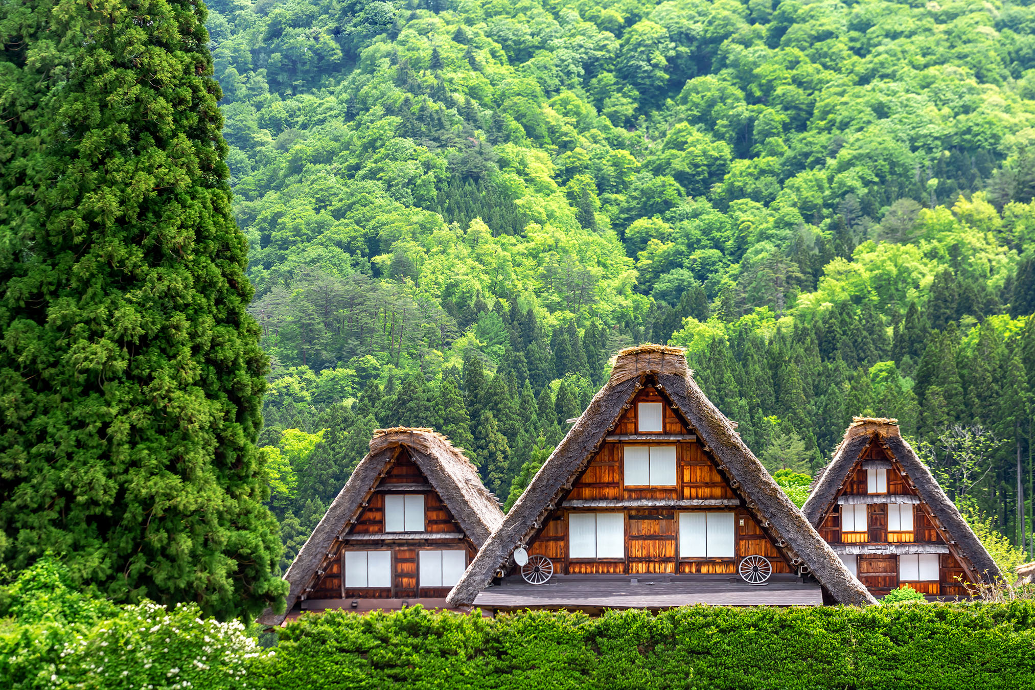 Takayama, Japan