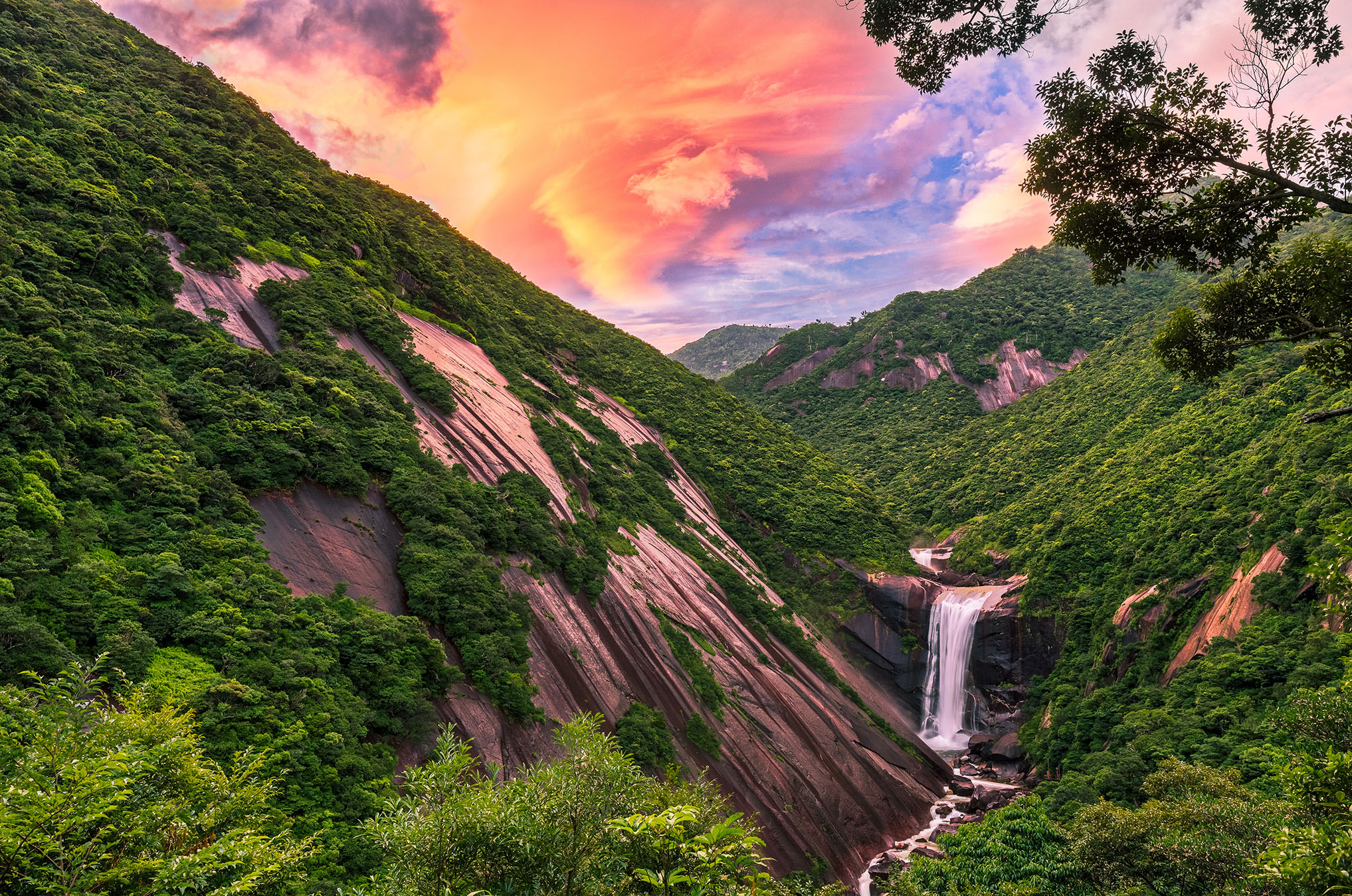 mystical destination yakushima